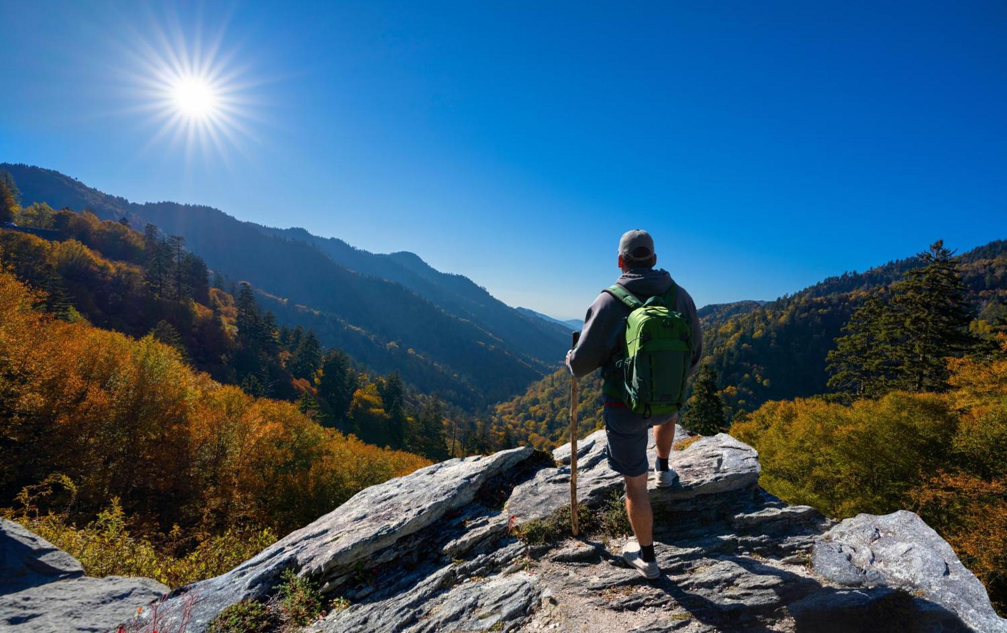 Apple Valley Hideaway, 1089 Of Free Attraction Tickets For Each Paid Day, Dollywood And More! 비둘기 포지 외부 사진