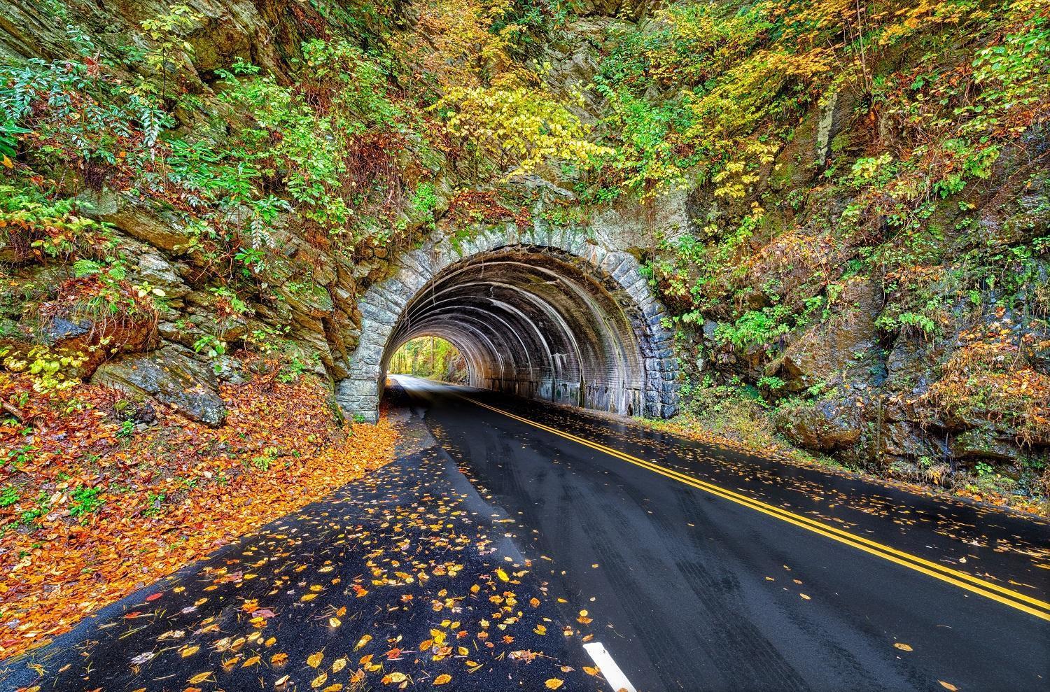 Apple Valley Hideaway, 1089 Of Free Attraction Tickets For Each Paid Day, Dollywood And More! 비둘기 포지 외부 사진